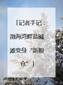 记者手记：渤海湾畔盐碱滩变身“新粮仓”