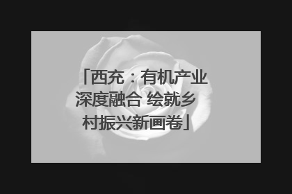 西充：有机产业深度融合 绘就乡村振兴新画卷