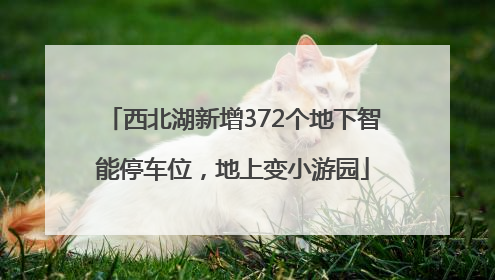 西北湖新增372个地下智能停车位，地上变小游园