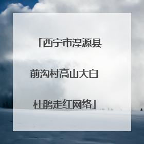 西宁市湟源县前沟村高山大白杜鹃走红网络
