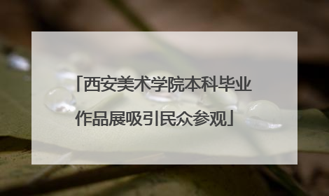西安美术学院本科毕业作品展吸引民众参观