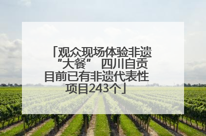 观众现场体验非遗“大餐” 四川自贡目前已有非遗代表性项目243个