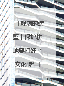 观潮的螃蟹丨保护耕地要打好“文化牌”