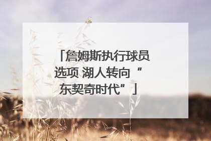 詹姆斯执行球员选项 湖人转向“东契奇时代”