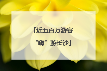 近五百万游客“嗨”游长沙