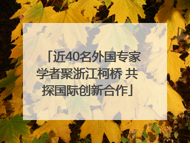 近40名外国专家学者聚浙江柯桥 共探国际创新合作