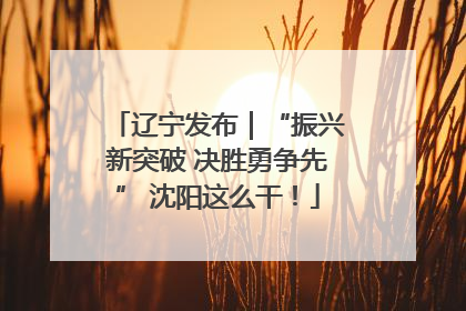 辽宁发布｜“振兴新突破 决胜勇争先” 沈阳这么干！