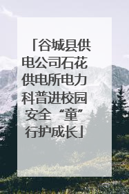 谷城县供电公司石花供电所电力科普进校园安全“童”行护成长