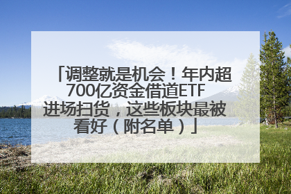 调整就是机会！年内超700亿资金借道ETF进场扫货，这些板块最被看好（附名单）