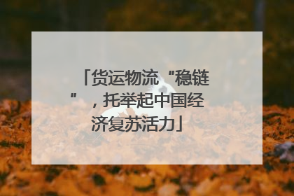 货运物流“稳链”，托举起中国经济复苏活力