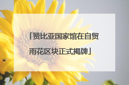 赞比亚国家馆在自贸雨花区块正式揭牌
