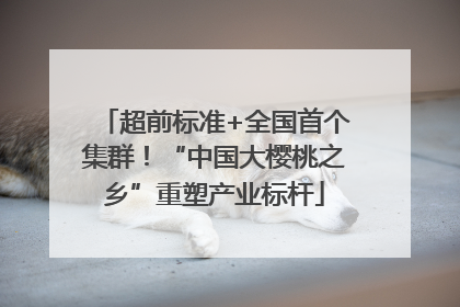 超前标准+全国首个集群！“中国大樱桃之乡”重塑产业标杆
