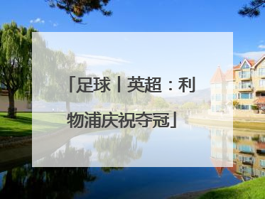 足球丨英超：利物浦庆祝夺冠
