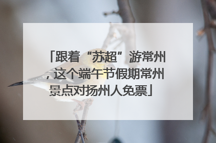 跟着“苏超”游常州，这个端午节假期常州景点对扬州人免票