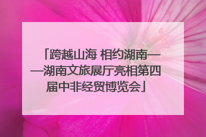 跨越山海 相约湖南——湖南文旅展厅亮相第四届中非经贸博览会
