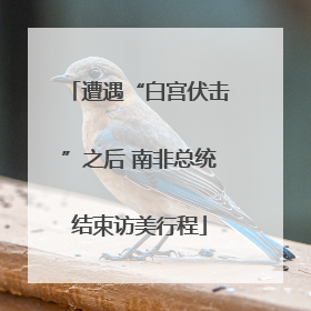 遭遇“白宫伏击”之后 南非总统结束访美行程