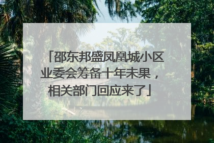 邵东邦盛凤凰城小区业委会筹备十年未果，相关部门回应来了