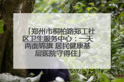 郑州市桐柏路郑工社区卫生服务中心：一天两面锦旗 居民健康基层医院守得住