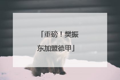 重磅！樊振东加盟德甲