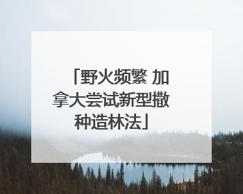 野火频繁 加拿大尝试新型撒种造林法