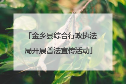 金乡县综合行政执法局开展普法宣传活动