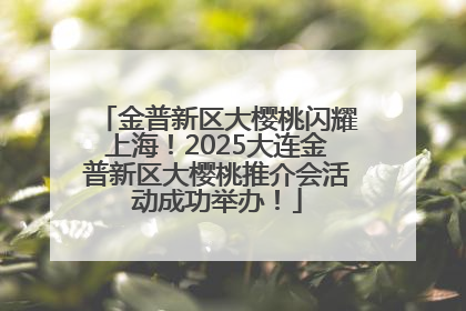 金普新区大樱桃闪耀上海！2025大连金普新区大樱桃推介会活动成功举办！