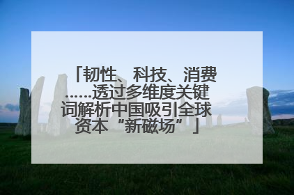 韧性、科技、消费……透过多维度关键词解析中国吸引全球资本“新磁场”