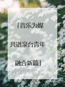 音乐为媒 共谱泉台青年融合新篇