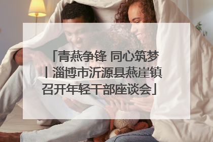 青燕争锋 同心筑梦丨淄博市沂源县燕崖镇召开年轻干部座谈会