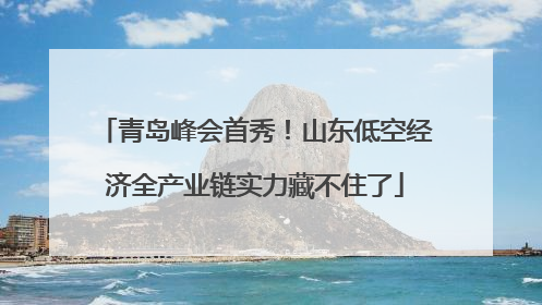 青岛峰会首秀！山东低空经济全产业链实力藏不住了
