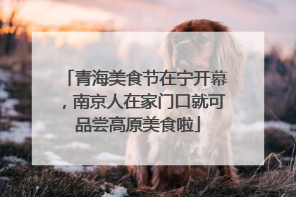 青海美食节在宁开幕，南京人在家门口就可品尝高原美食啦
