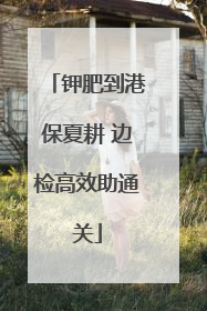 钾肥到港保夏耕 边检高效助通关