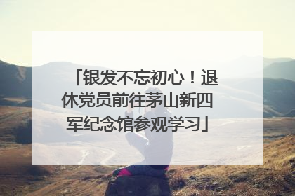 银发不忘初心！退休党员前往茅山新四军纪念馆参观学习