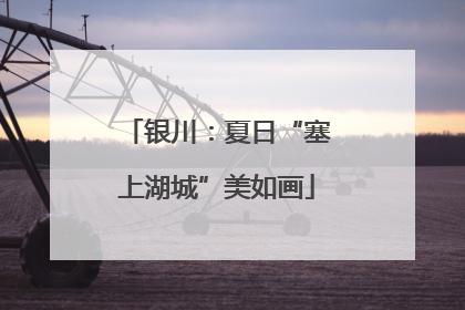 银川：夏日“塞上湖城”美如画