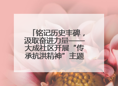 铭记历史丰碑，汲取奋进力量——大成社区开展“传承抗洪精神”主题党日活动