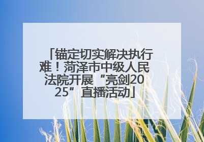 锚定切实解决执行难！菏泽市中级人民法院开展“亮剑2025”直播活动