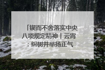 锲而不舍落实中央八项规定精神丨云霄：纠树并举扬正气 作风建设谱新章