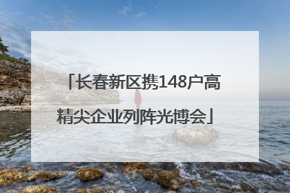 长春新区携148户高精尖企业列阵光博会