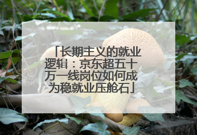 长期主义的就业逻辑：京东超五十万一线岗位如何成为稳就业压舱石