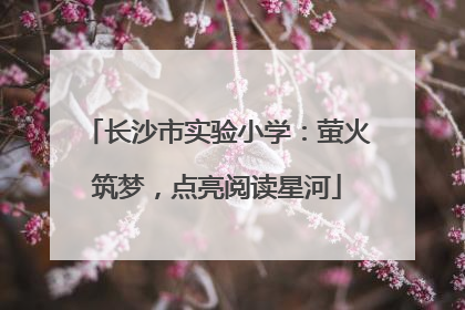 长沙市实验小学：萤火筑梦，点亮阅读星河