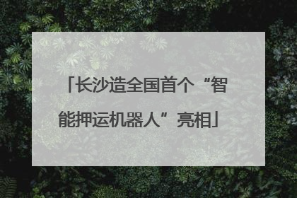 长沙造全国首个“智能押运机器人”亮相