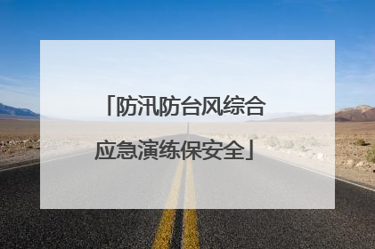 防汛防台风综合应急演练保安全
