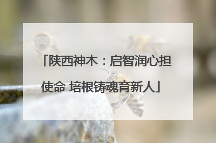 陕西神木：启智润心担使命 培根铸魂育新人