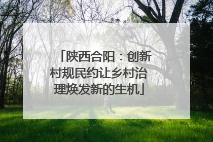 陕西合阳：创新村规民约让乡村治理焕发新的生机