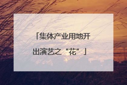 集体产业用地开出演艺之“花”