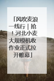 风吹麦浪一线行｜抢！河北小麦大规模机收作业正式拉开帷幕
