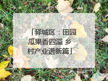 驿城区：田园瓜果香四溢 乡村产业谱新篇