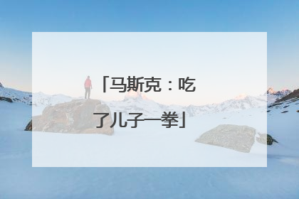 马斯克：吃了儿子一拳
