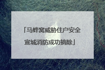 马蜂窝威胁住户安全 宣城消防成功摘除
