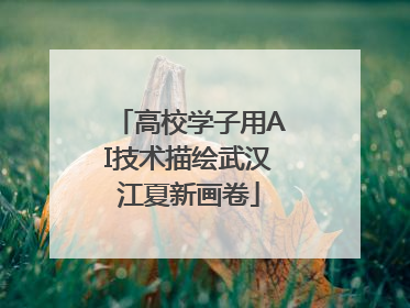 高校学子用AI技术描绘武汉江夏新画卷
